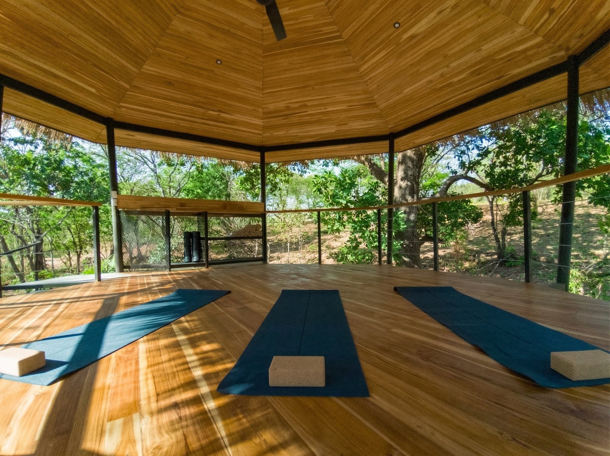 Yoga sessions