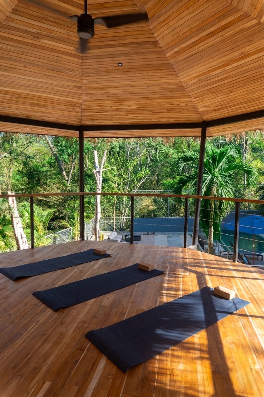 Treetop yoga deck — morning